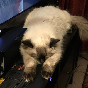 Meet your Posher, Linde